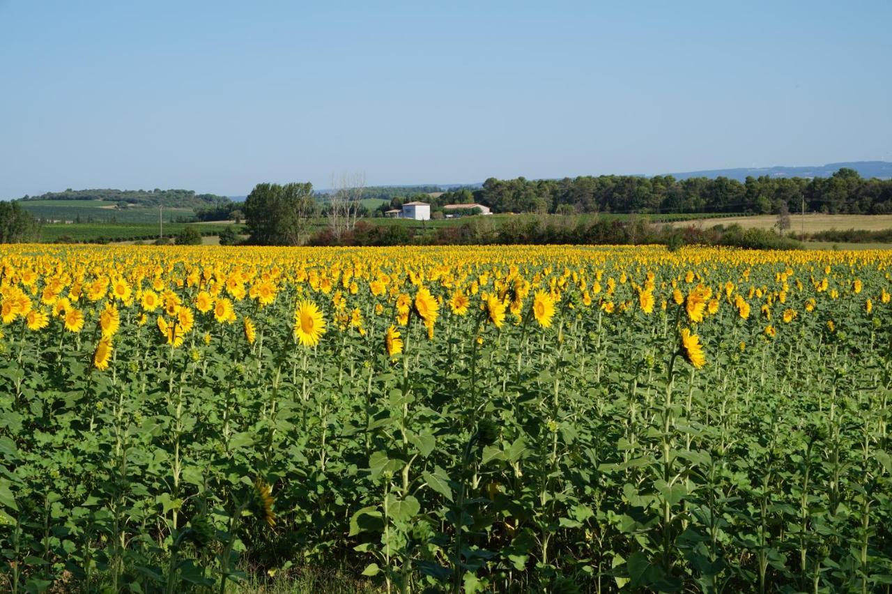 Le Clos Des Troubadours Pennautier Εξωτερικό φωτογραφία