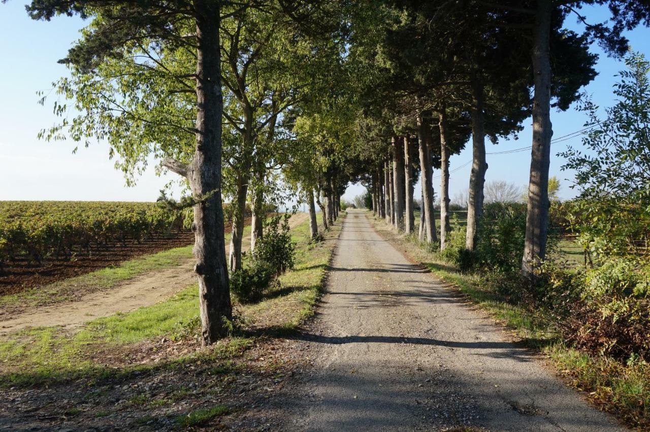 Le Clos Des Troubadours Pennautier Εξωτερικό φωτογραφία